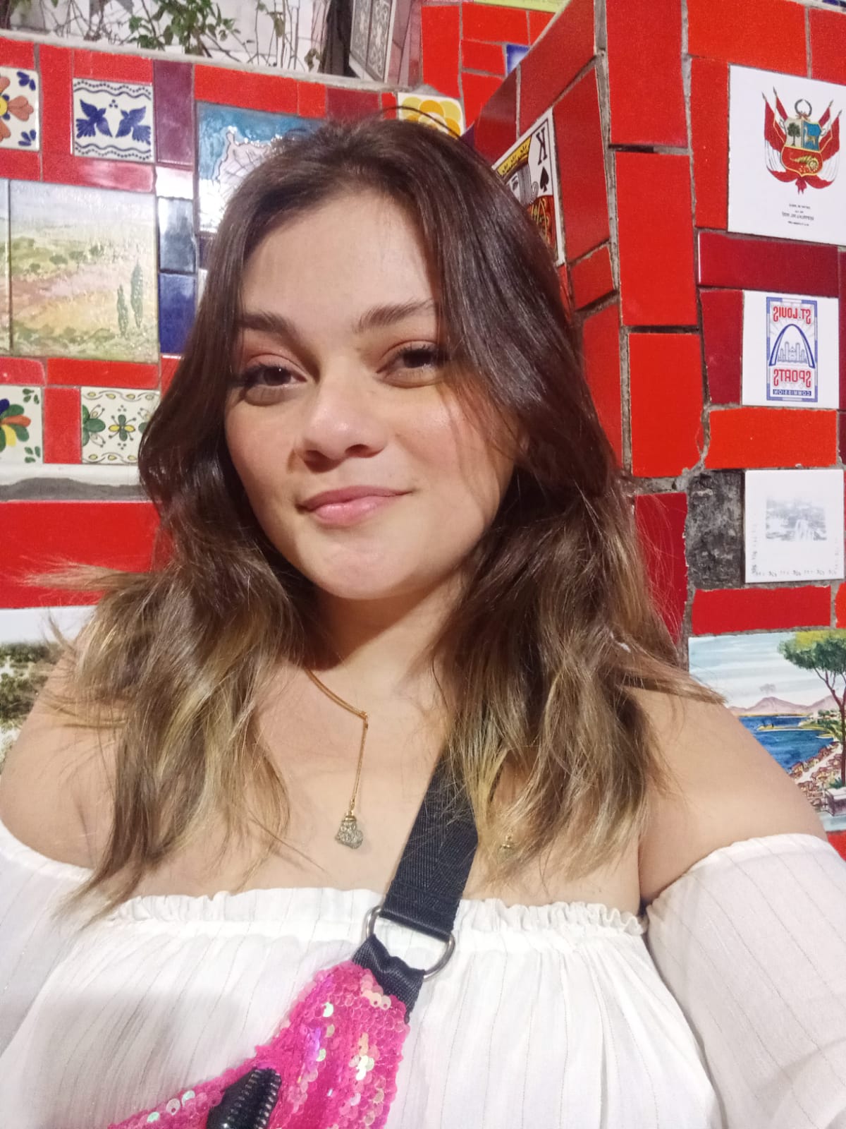 Nathália Teixeira (nathaliataneves) profile Padlet