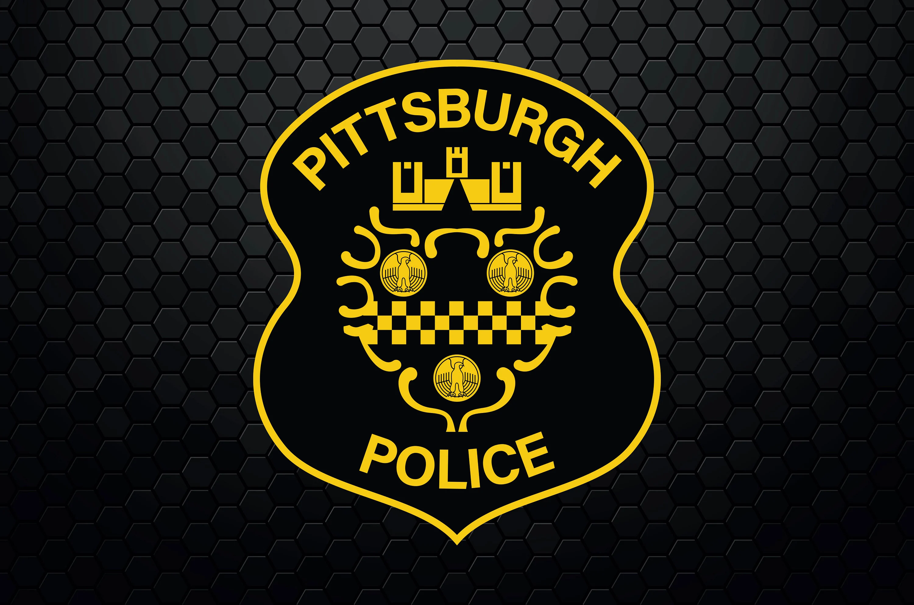 Pittsburgh Police Zone 6 - bqpqigp