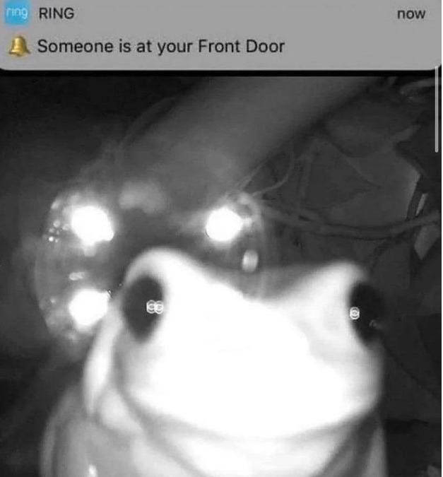 º×𝒥𝒶𝓍×º°*.｡. `°¤,¸.•*´¯) (UmmmmYourGay) profile Padlet