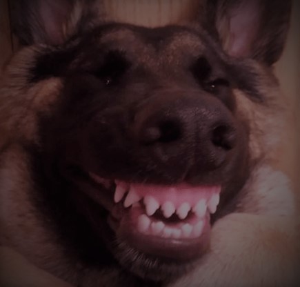 SCP_4000.jpg