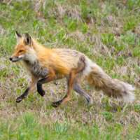 Bella Jones (BellaJones5) profile | Padlet