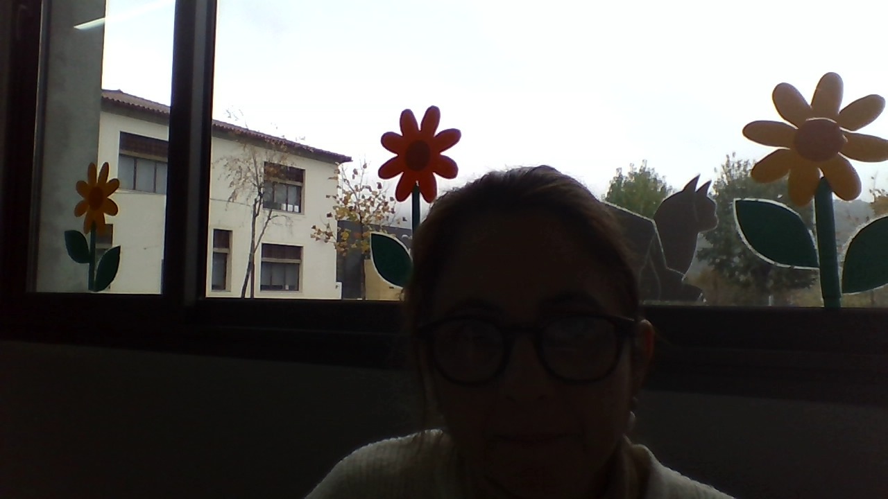 Marinha Fernandes (bibliotecaeb1moure) profile | Padlet