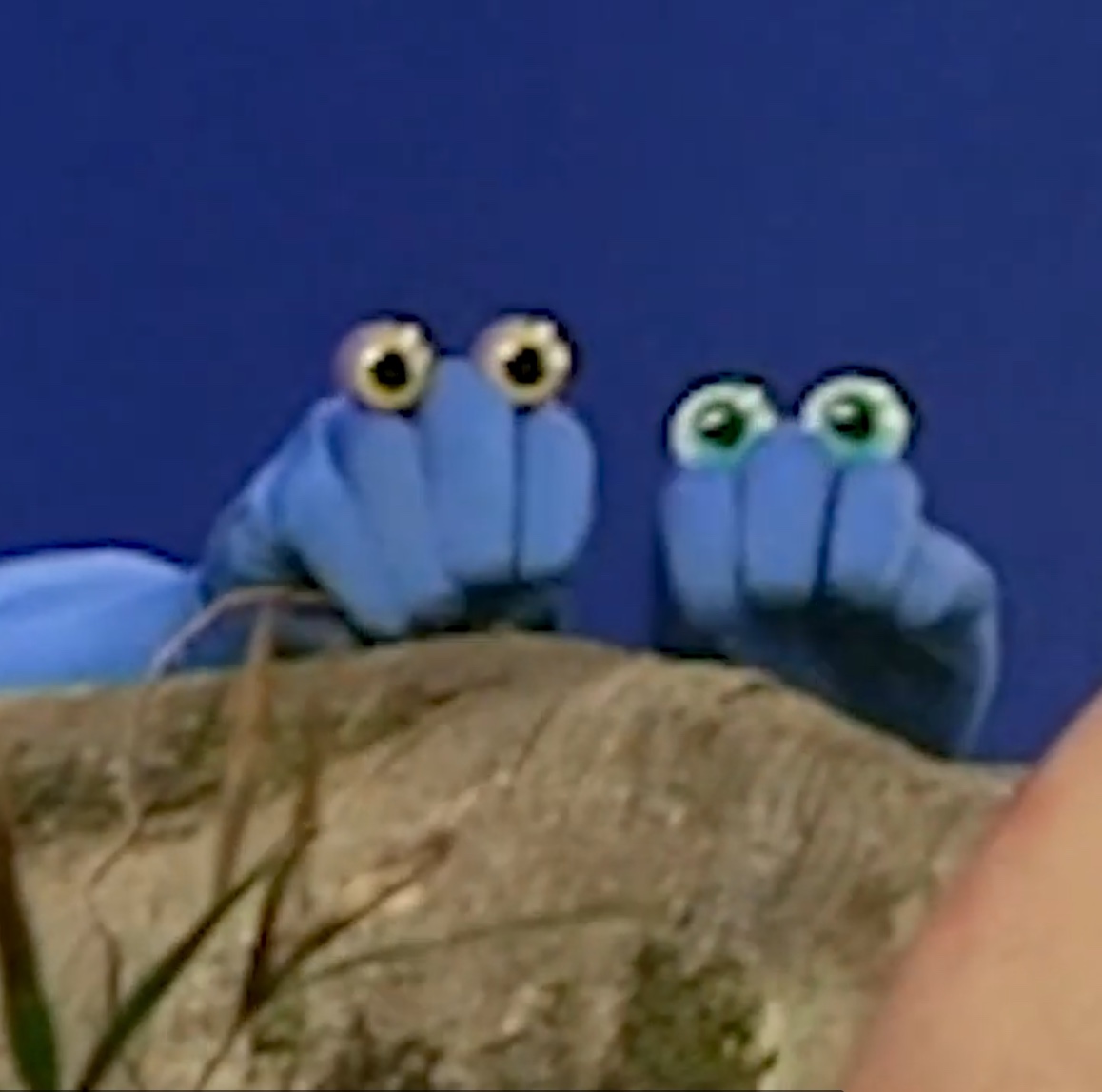 Anonymous (7114180014) profile Padlet