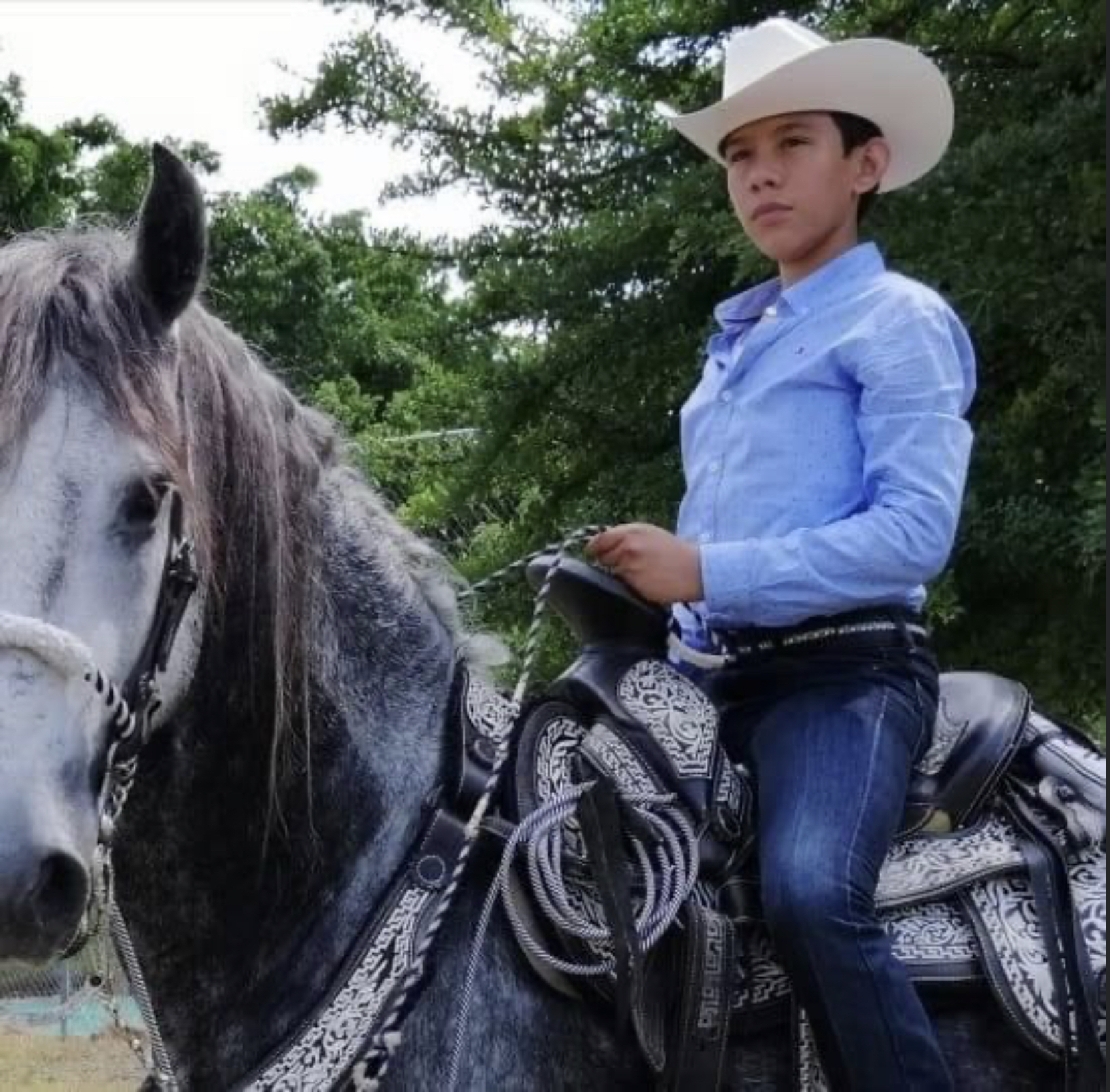 Pedro Medrano (pedro_medrano) profile Padlet