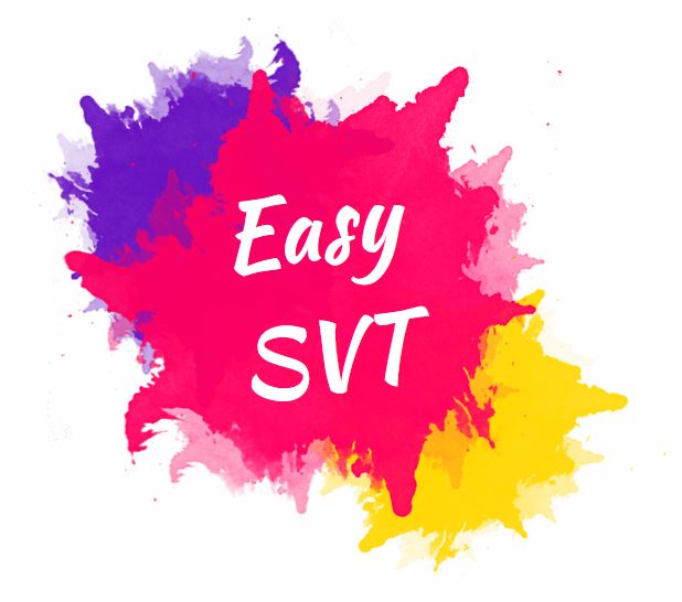 Svtlyceedevienne Profile Padlet